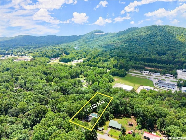153 Garrison Dr, Cleveland, GA 30528 - aerial overview of property's location with a forest, property boundaries highlighted, and a mountainous background