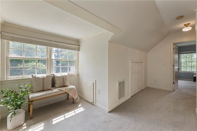 additional living space with carpet floors, vaulted ceiling, and baseboards