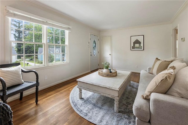 living room featuring light wood-style flooring, baseboards, and ornamental molding