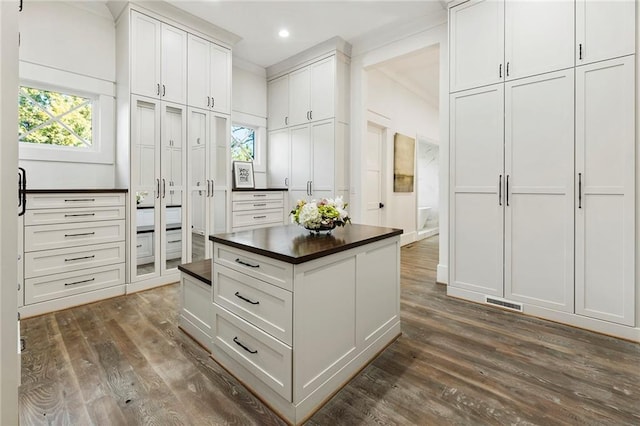 walk in closet featuring dark hardwood / wood-style flooring