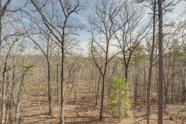 view of local wilderness featuring a wooded view