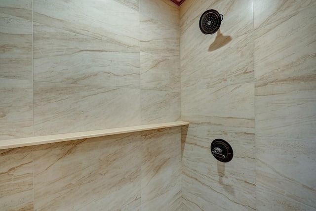 interior details featuring tiled shower