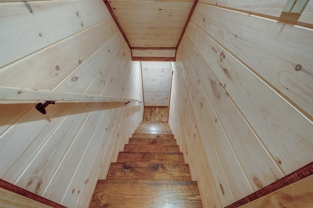stairway featuring wood ceiling and wooden walls