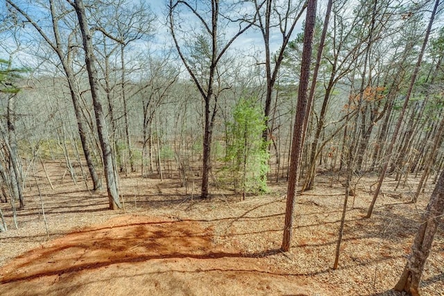 view of nature with a wooded view
