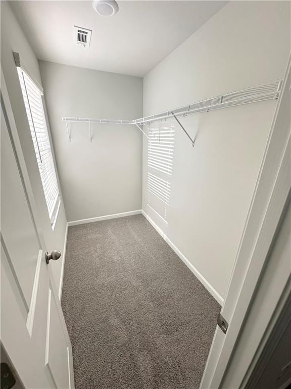 836 Courthouse Park Dr, Temple, GA 30179 - walk in closet with carpet floors