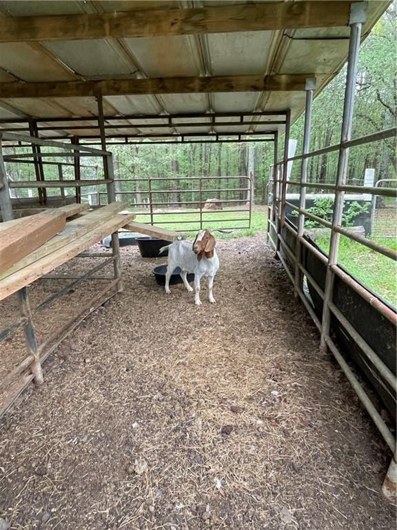 view of horse barn