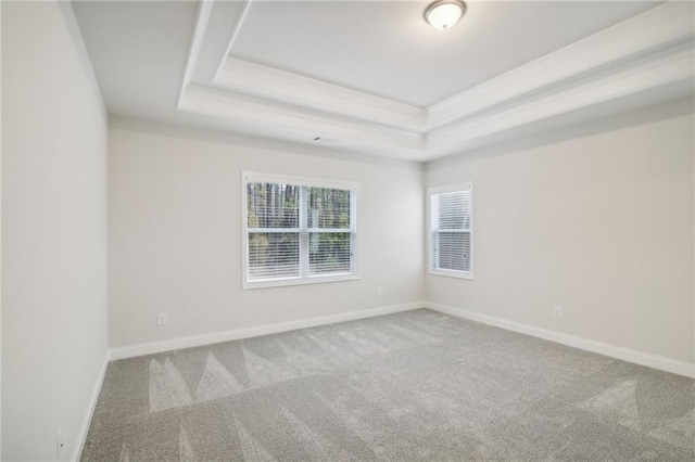 carpeted spare room featuring a tray ceiling