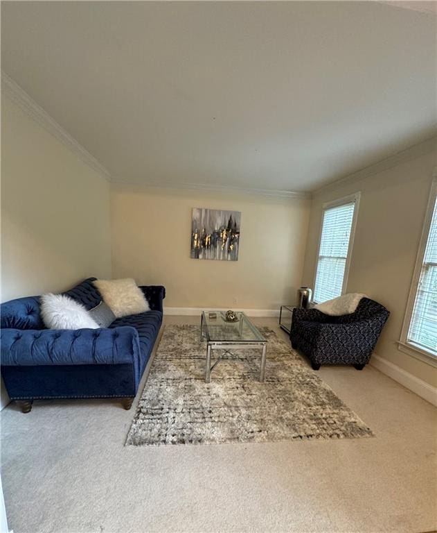 carpeted living room with crown molding