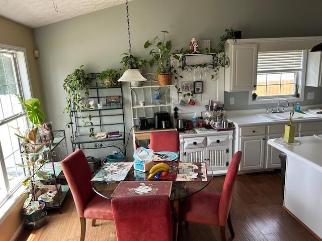 2256 Hansford Pass, Buford, GA 30519 - dining room with dark wood-type flooring and a textured ceiling