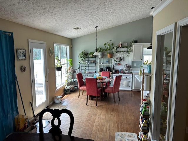 2256 Hansford Pass, Buford, GA 30519 - dining area with lofted ceiling, wood finished floors, a textured ceiling, and plenty of natural light