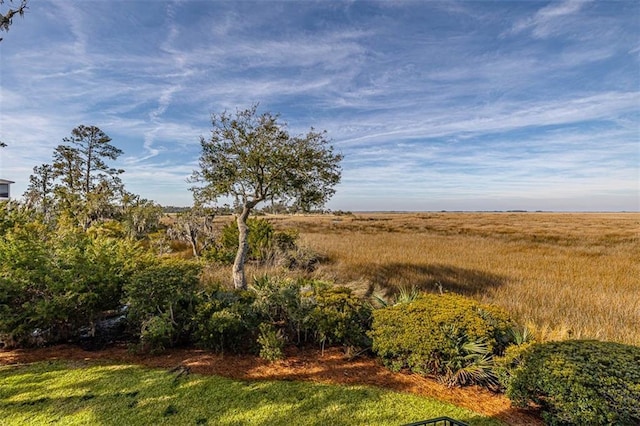 view of local wilderness featuring a rural view