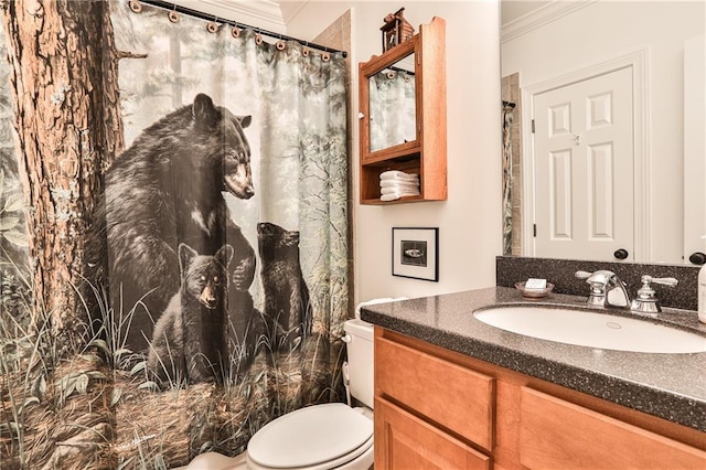 bathroom with vanity, toilet, and crown molding