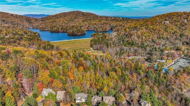 drone / aerial view with a water and mountain view