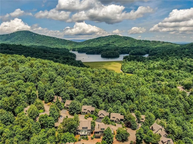 view of mountain feature featuring a water view