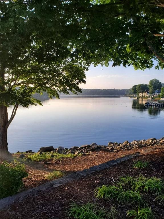 121 Clipper Bay Dr, Alpharetta, GA 30005 - water view