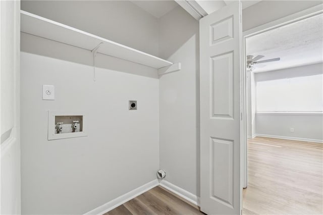 washroom with hardwood / wood-style flooring, electric dryer hookup, ceiling fan, and hookup for a washing machine