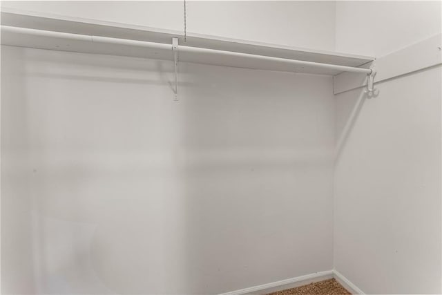 view of walk in closet