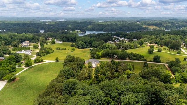 4337 Mountain View Rd, Oakwood, GA 30566 - bird's eye view of a heavily wooded area and a nearby body of water