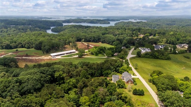 4337 Mountain View Rd, Oakwood, GA 30566 - bird's eye view of a forest and a nearby body of water
