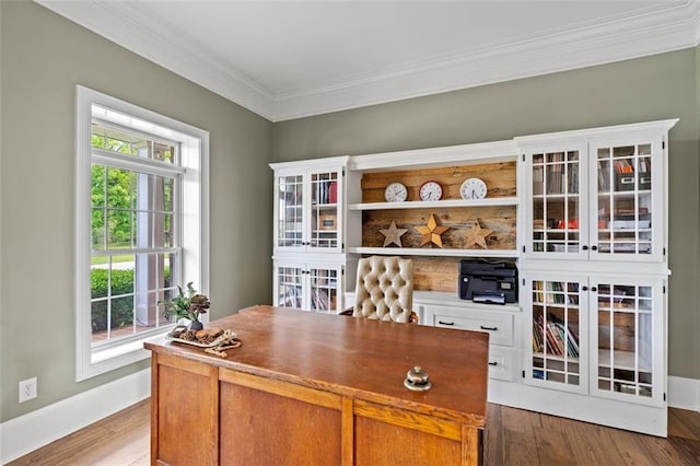 4337 Mountain View Rd, Oakwood, GA 30566 - office space featuring ornamental molding and wood finished floors