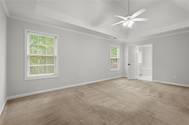 194 Lake Ruby Dr, Suwanee, GA 30024 - spare room featuring a raised ceiling, healthy amount of natural light, crown molding, and light carpet