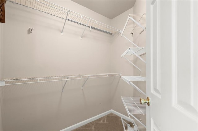 194 Lake Ruby Dr, Suwanee, GA 30024 - spacious closet with carpet flooring