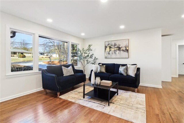 living room featuring light hardwood / wood-style floors