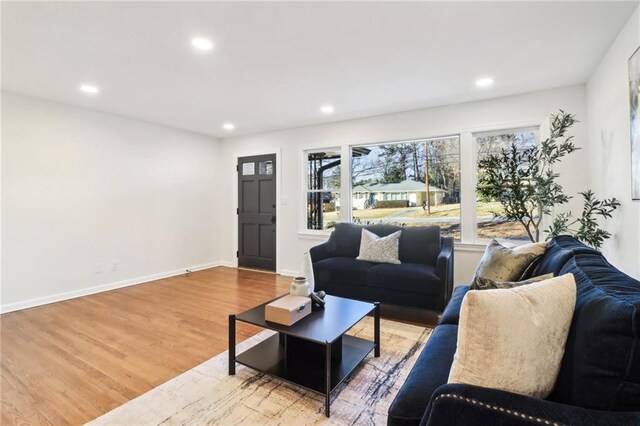 living room featuring light hardwood / wood-style floors