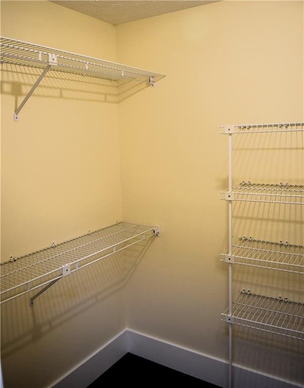 1521 Larkwood Dr, Canton, GA 30114 - view of spacious closet