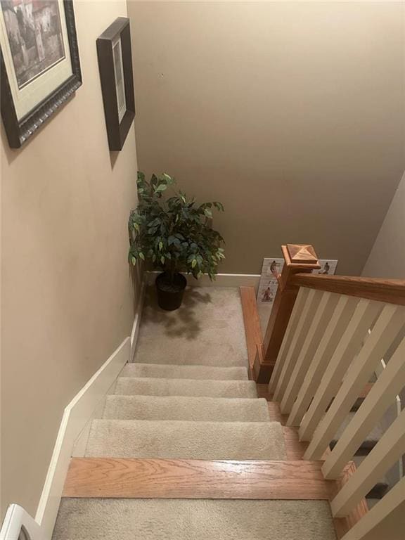 staircase with baseboards and carpet