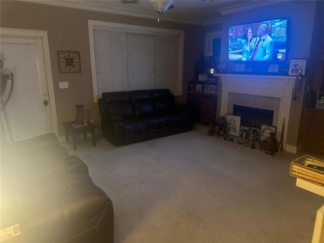 carpeted living area with crown molding and a fireplace