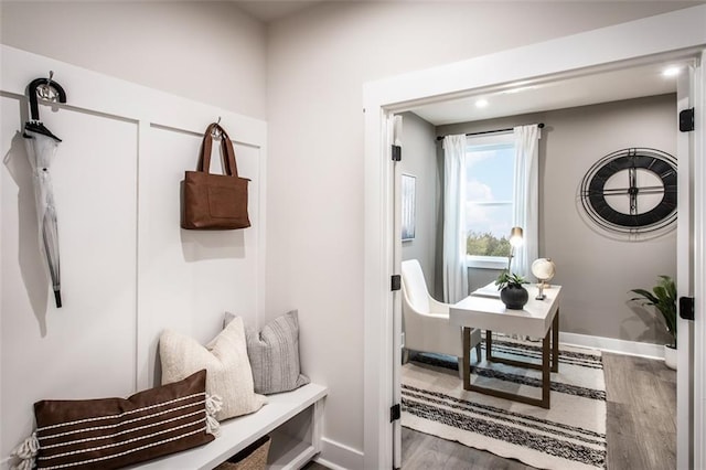 mudroom featuring wood-type flooring