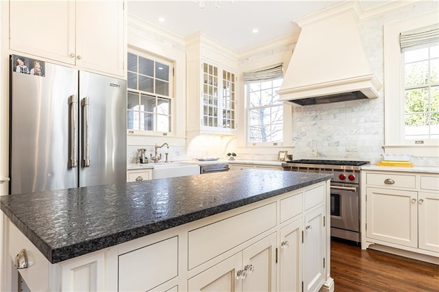 kitchen featuring premium range hood, premium appliances, decorative backsplash, dark wood-style floors, and a sink