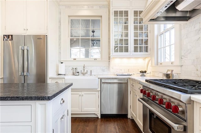 kitchen with a sink, decorative backsplash, white cabinets, exhaust hood, and high quality appliances