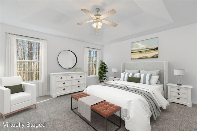 305 Bridgewater Ter, Canton, GA 30115 - carpeted bedroom featuring a raised ceiling and a ceiling fan