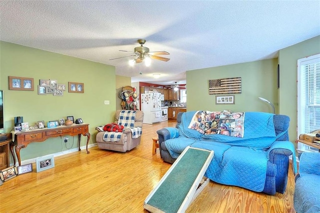 living room with wood-type flooring, ceiling fan, and a textured ceiling