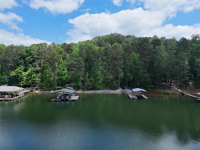 property view of water featuring a boat dock