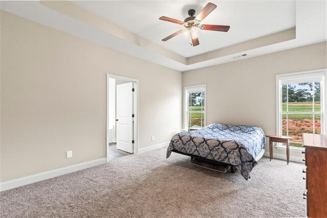 bedroom featuring a tray ceiling, multiple windows, baseboards, and carpet