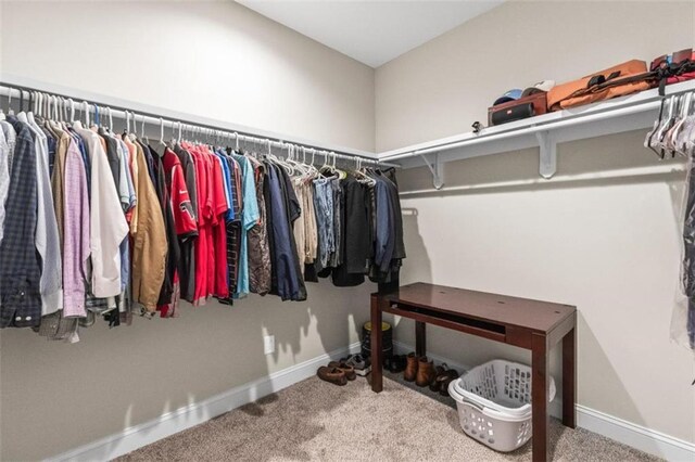 spacious closet featuring carpet