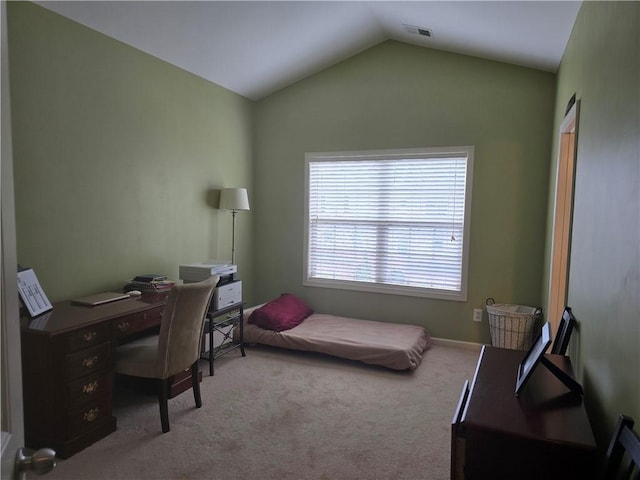 106 Trailside Way, Hiram, GA 30141 - office space featuring carpet floors and vaulted ceiling