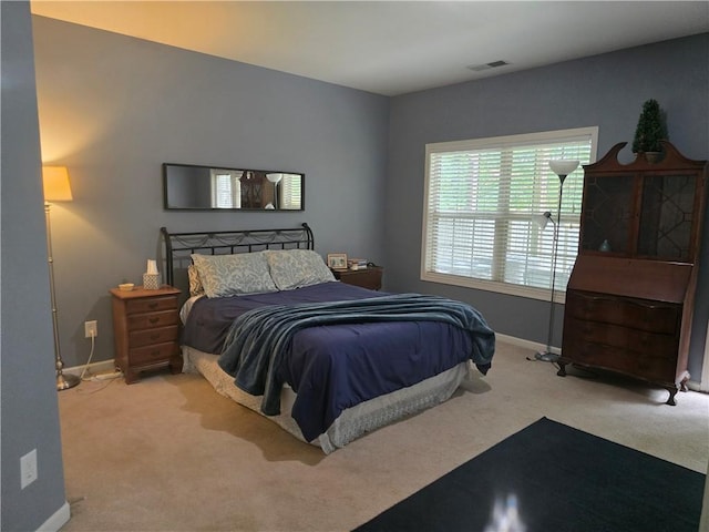 106 Trailside Way, Hiram, GA 30141 - carpeted bedroom with baseboards