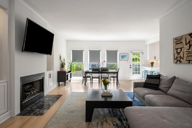 907 Edgewood Ave NE, Atlanta, GA 30307 - living area with light wood-type flooring, crown molding, and a fireplace with flush hearth