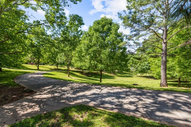 907 Edgewood Ave NE, Atlanta, GA 30307 - view of property's community featuring a yard