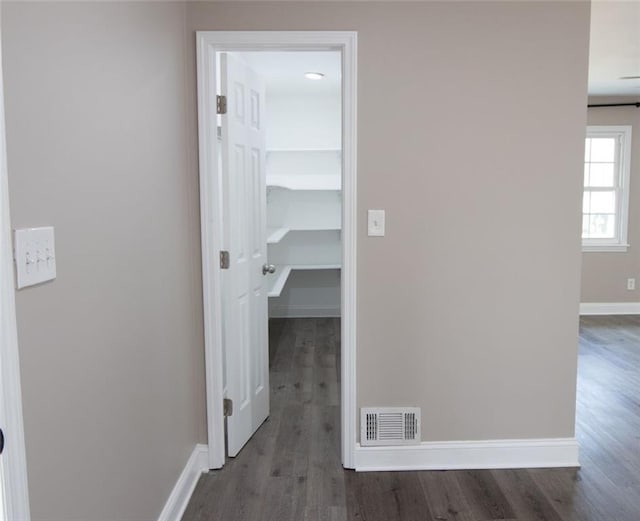 hallway featuring dark hardwood / wood-style floors