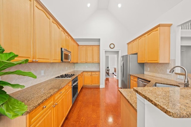 kitchen featuring light stone counters, kitchen peninsula, stainless steel appliances, and high vaulted ceiling