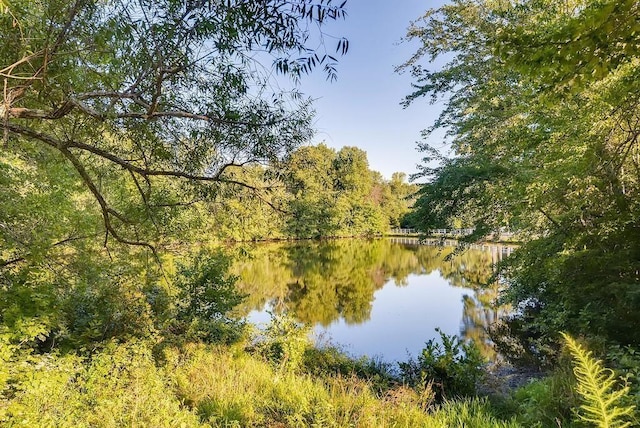 property view of water featuring a wooded view