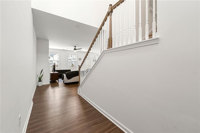 stairs with hardwood / wood-style floors and ceiling fan