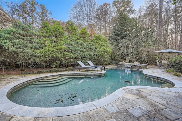 view of pool featuring a patio