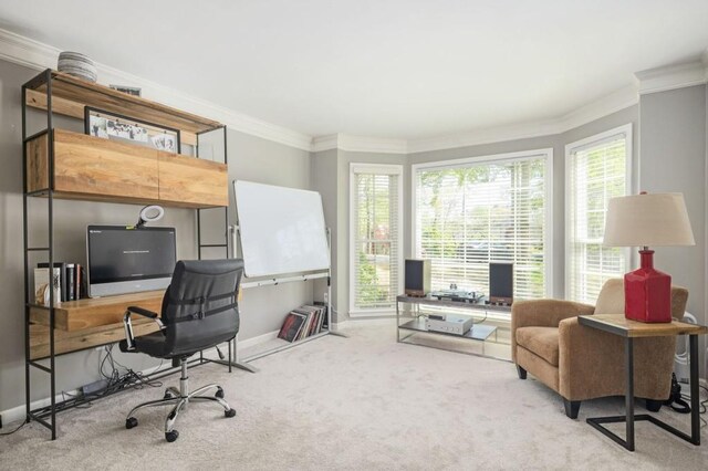2689 Spring Rock Ct NE, Roswell, GA 30075 - office space featuring carpet flooring and ornamental molding