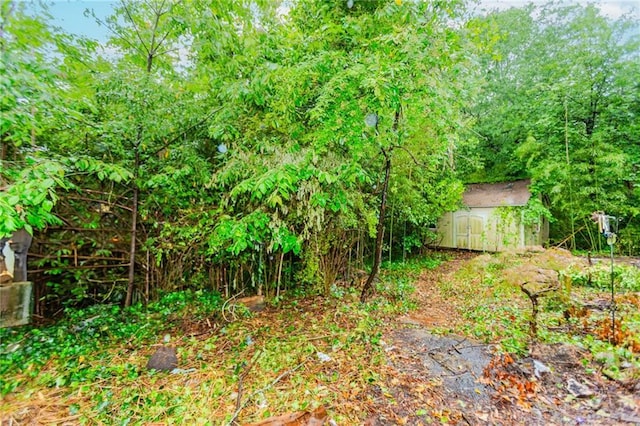 view of yard featuring a storage unit and an outdoor structure